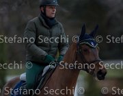 Cantlena FZ Tosc Tour2013- S5 1811 : Arezzo, Cantlena FZ, Cavalli d'Italia, Toscana Tour 2013, foto di Stefano Secchi ©